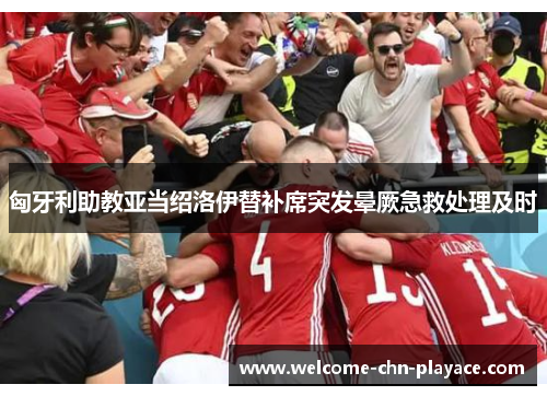 匈牙利助教亚当绍洛伊替补席突发晕厥急救处理及时